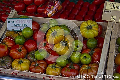 Fresh tomatoes for sale, Le Marais Paris Editorial Stock Photo