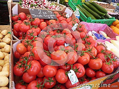Fresh tomatoes for sale Editorial Stock Photo