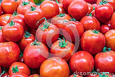 Fresh tomatoes for sale at the Panjshanbe Bazaar in Khujand Stock Photo