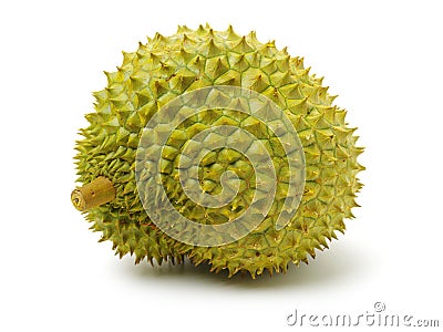Fresh tropical durian fruit Stock Photo