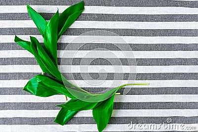 Fresh tropical green leaves on towel in strip background Stock Photo