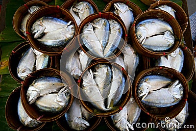 Fresh tuna Stock Photo