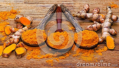 Fresh turmeric roots Stock Photo