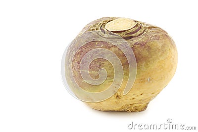 Fresh turnip(Brassica rapa rapa) Stock Photo
