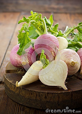 Fresh turnip and white radish Stock Photo