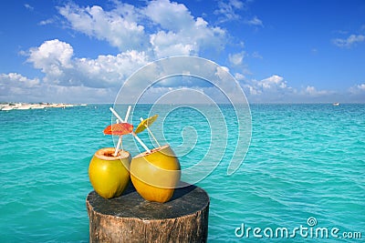 Fresh two coconuts juice water straws in caribbean Stock Photo