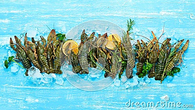 Fresh uncooked raw crayfish ready for cooking on a blue wooden background. Free space for your text. Stock Photo