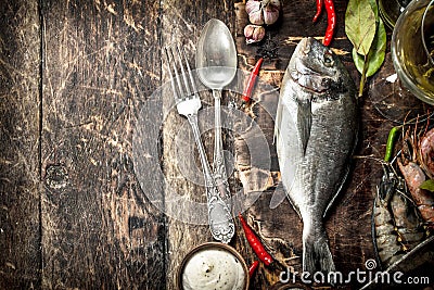 Fresh unprepared Dorado fish with wine, herbs and spices. Stock Photo