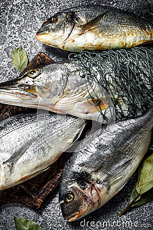 Fresh unprepared fish. Stock Photo