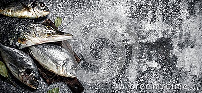 Fresh unprepared fish. Stock Photo