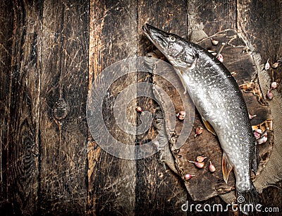 Fresh unprepared pike on a cutting board. Stock Photo