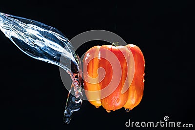 Fresh Variegated pepper gets splashed with water on black background. Concept of summer, health and fun Stock Photo