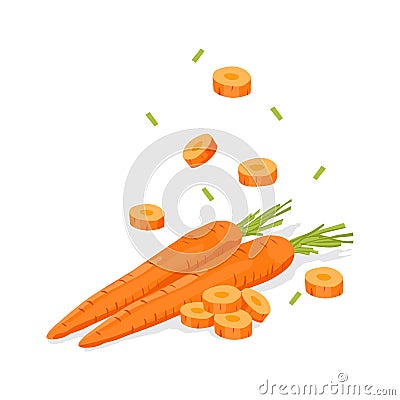 Fresh vegetable Carrot falling vector in white background Vector Illustration