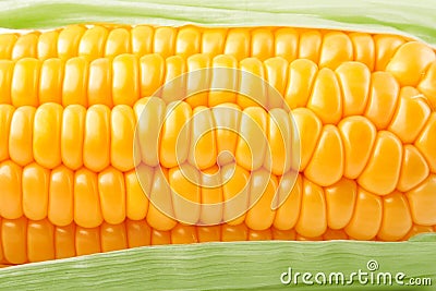 Fresh vegetable corn texture Stock Photo