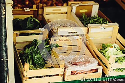 Fresh vegetable on the farm market. Natural local products on the farm market. Harvesting. Seasonal products. Food. Vegetables Stock Photo