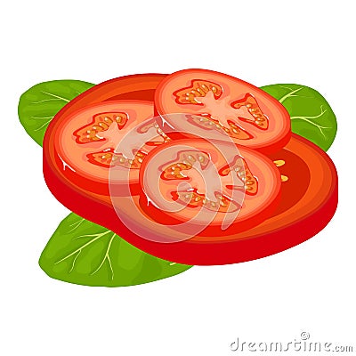 Fresh vegetable icon isometric vector. Red fresh tomato slice and spinach leaf Vector Illustration