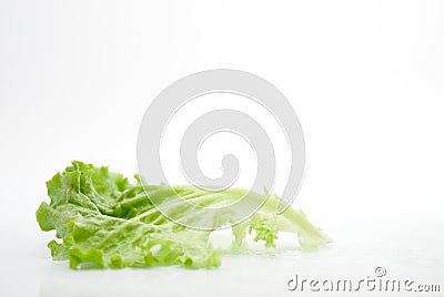 Fresh vegetable lettuce Stock Photo