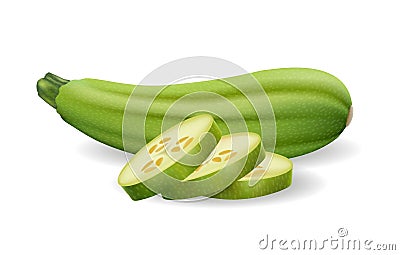 Fresh vegetable marrow 3d image Vector Illustration