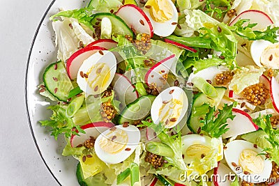 Fresh vegetable salad with cucumber, radish, lettuce and boiled eggs. Helathy food. Top view Stock Photo