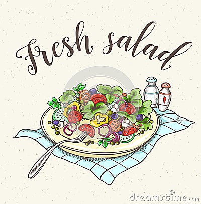 Fresh vegetable salad on a plate Vector Illustration
