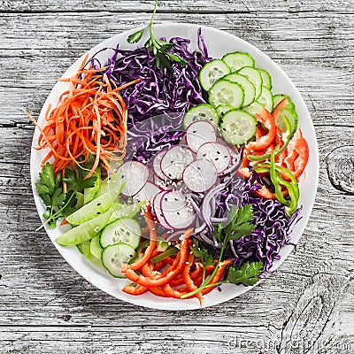 Fresh vegetable salad with red cabbage, cucumber, radish, carrots, sweet peppers, red onion and parsley on a white plate. Stock Photo