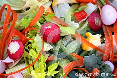 Fresh Vegetable Trimmings Stock Photo