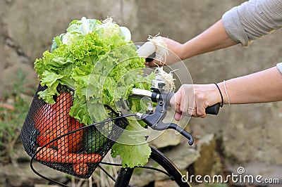 Fresh vegetables in a bike basket Stock Photo