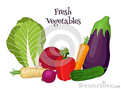 Fresh vegetables - bok choy, eggplant, carrot, cucumber, onion, bell pepper. Vector Illustration