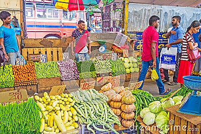 The fresh vegetables Editorial Stock Photo