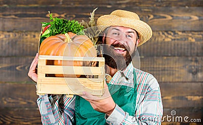 Fresh vegetables delivery service. Man cheerful bearded farmer wear apron presenting vegetables pumpkin wooden Stock Photo