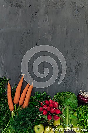 fresh vegetables for eating carrot radish salad green apples on grey background Stock Photo