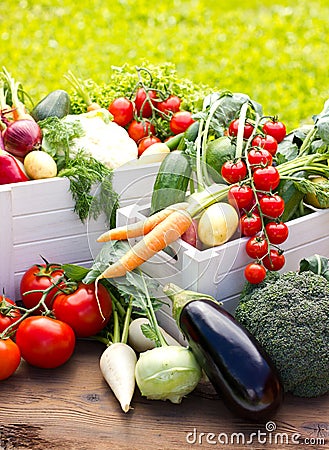 Fresh vegetables in the garden Stock Photo