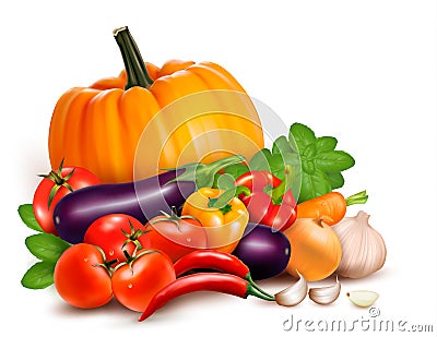 Fresh vegetables. Healthy Food. Vector Illustration