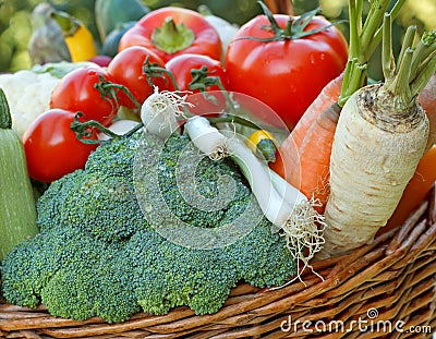 Fresh vegetables - Healthy food Stock Photo