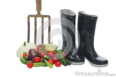 Fresh vegetables near the pitchfork and boots, insulation Stock Photo