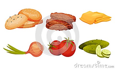 Fresh Vegetables and Patty Cake for Hamburger Preparation Vector Set Vector Illustration