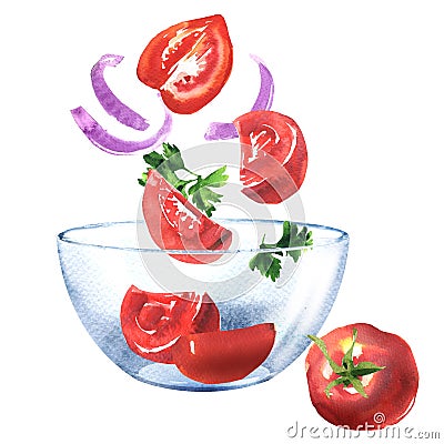 Fresh vegetables, sliced tomatoes, onion and parsley, ingredients for salad falling into bowl, healthy vegetarian food Cartoon Illustration