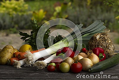 Fresh vegetables Stock Photo