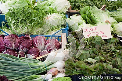 Fresh vegetarian greens at vegetable market Stock Photo