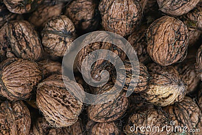 Fresh walnuts in a metal basket Stock Photo