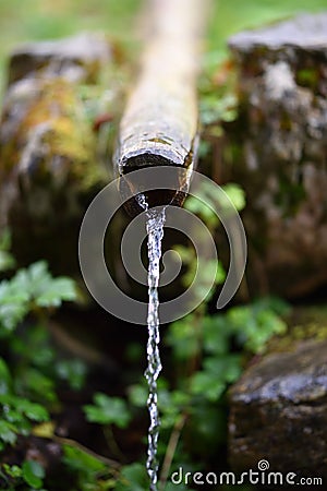 Fresh water pouring from wooden pipe, mountain spring Stock Photo