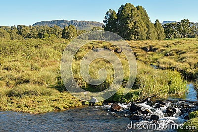 Fresh water river against a mountain background, Mount Kenya Stock Photo
