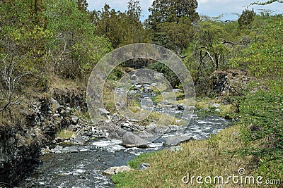 A fresh water river against a mountain background, Mount Meru, Tanzania Stock Photo
