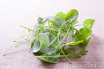 Fresh watercress leaves Stock Photo