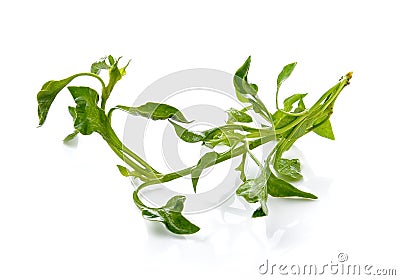 Fresh Watercress on white background Stock Photo