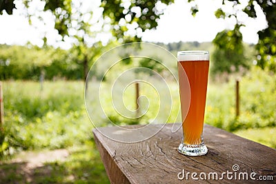 Fresh Wheat Beer Stock Photo