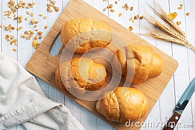 Fresh wheat bread rolls. Rolls for a hot dog or hamburger. White background copy space. Stock Photo