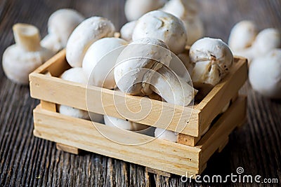 Fresh white button mushrooms Stock Photo