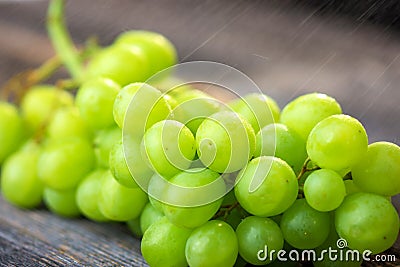 Fresh white grapes on wood Stock Photo