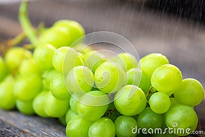 Fresh white grapes on wood Stock Photo